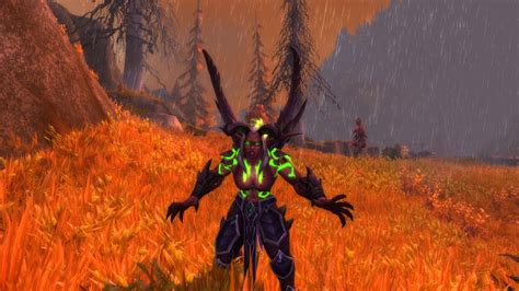 demon hunter metamorphosis